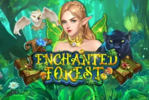 Enchanted Forest
