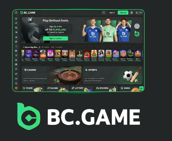 Exploring BC.Game Mirror Site A Guide to Gaming Freedom